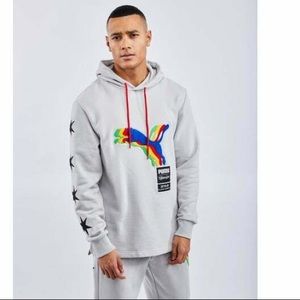 NEW Puma S Grey Hoodie